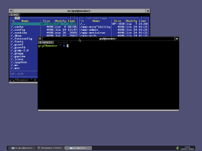 Przykładowy zrzut ekranu z Window Makerem bez dockappów i panelem tint2
